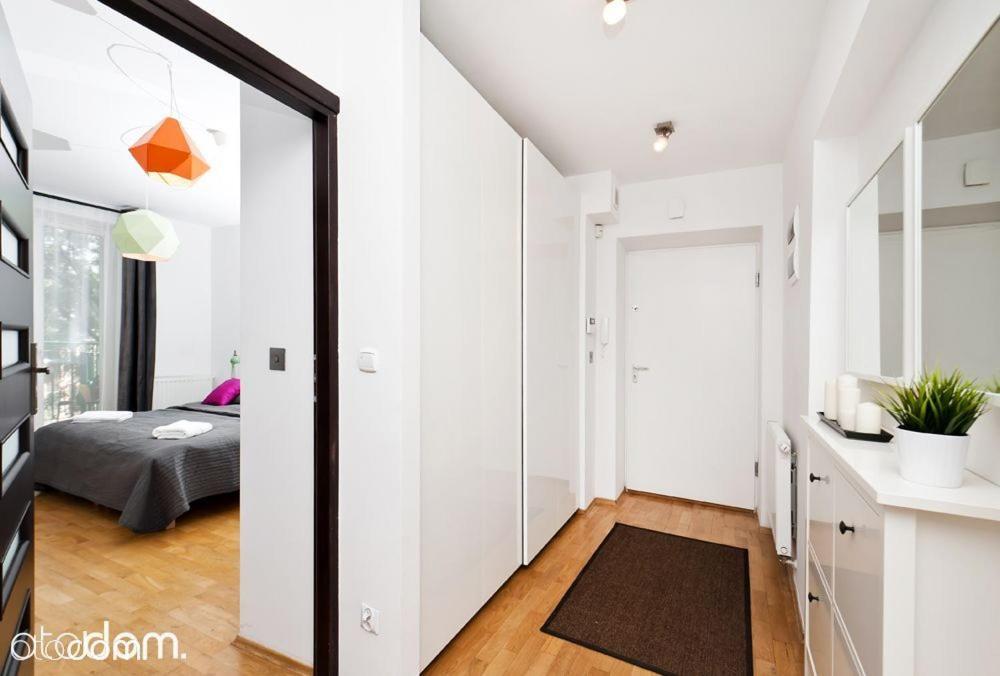 Cozy & Big Rooms In Old Town クラクフ エクステリア 写真